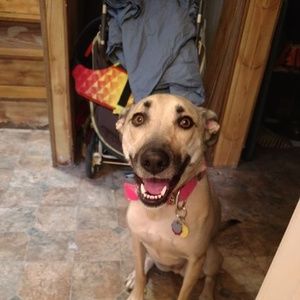 Meet your Posher, Amy